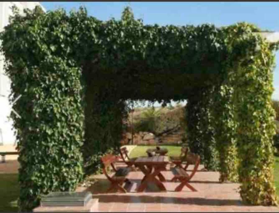 Top-Floor Beachfront Apartment With Parking, Pool, & Spacious Sea-View Balcony فيياخويوسا المظهر الخارجي الصورة